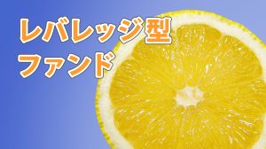レバレッジ型ファンド